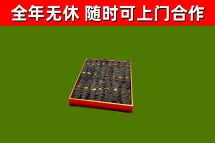 凌云回收海参